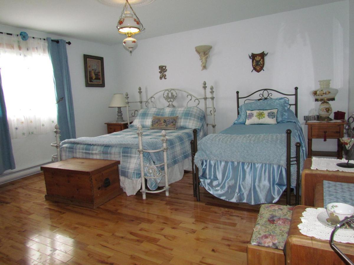 Gite Cap A L Aigle La Malbaie Εξωτερικό φωτογραφία